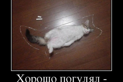 Когда родители  криминалисты