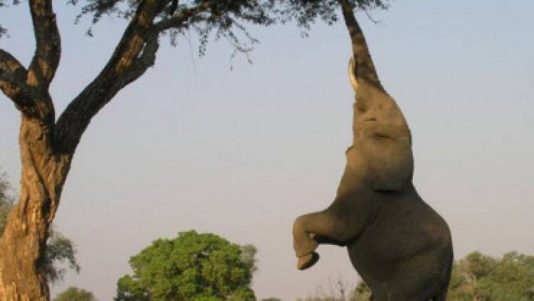 Кто-то что-то наснимал...