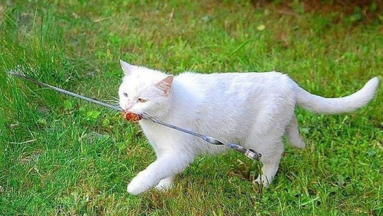 Забрал последний кусок