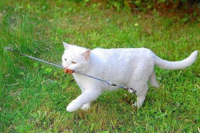 Забрал последний кусок