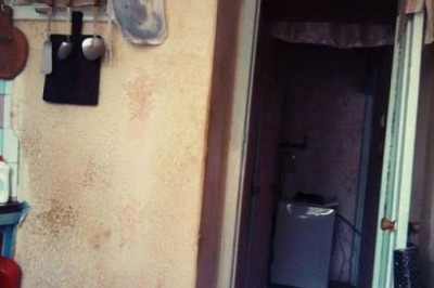 Коты мешают готовить обед