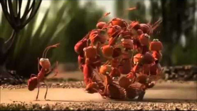 Наша сила в единстве