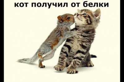 Настреляла и убежала