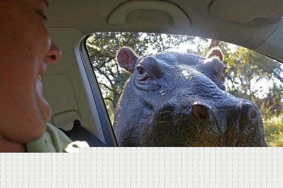 А что у вас есть вкусненького