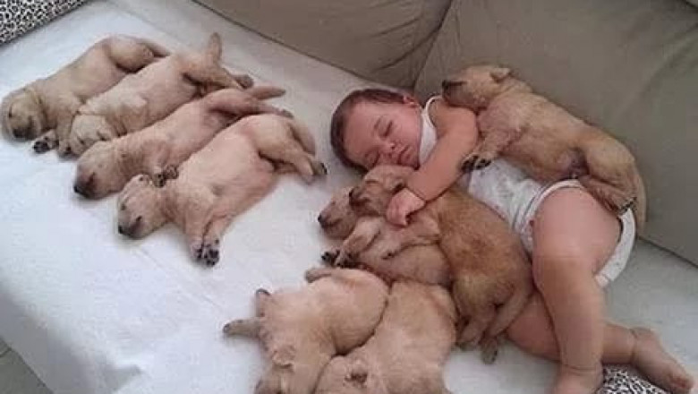 Сладкий сон малыша и домашнего питомца