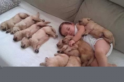 Сладкий сон малыша и домашнего питомца