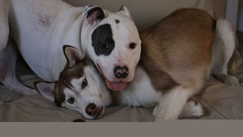 Встреча через три года 