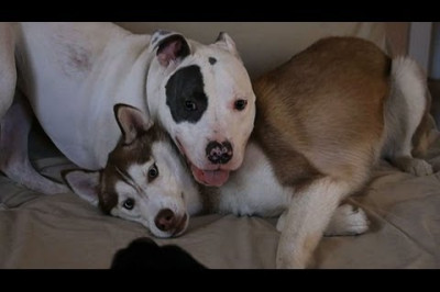 Встреча через три года 