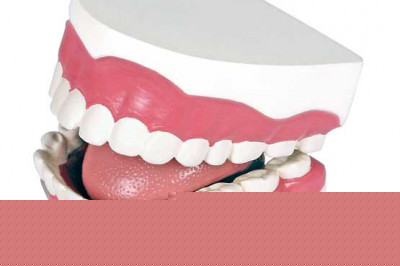 Запасные зубные протезы