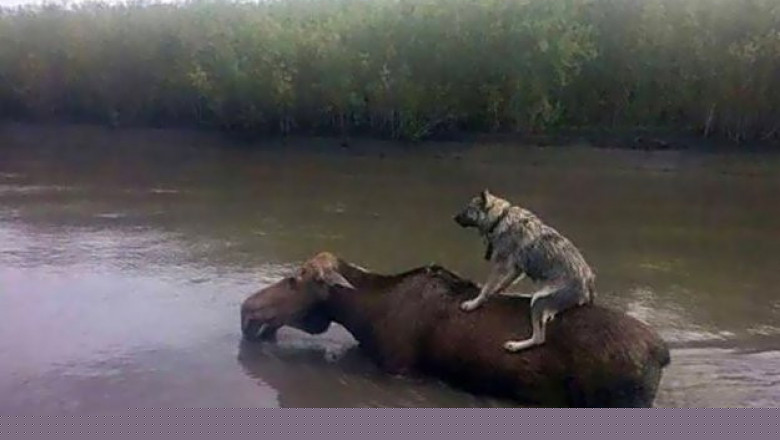 Экскурсовод демонстрирует красоты местности