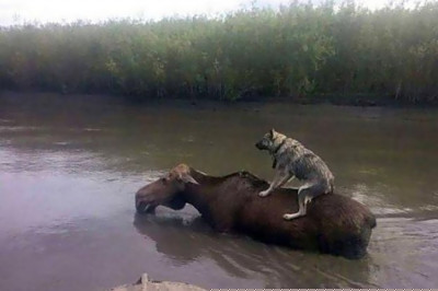 Экскурсовод демонстрирует красоты местности