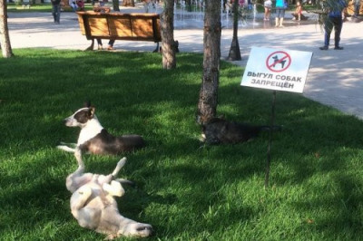 Делаю , что хочу !