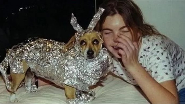 Кажется хозяин сошел с ума