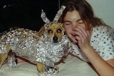 Кажется хозяин сошел с ума