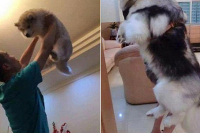 Разные необычайности .