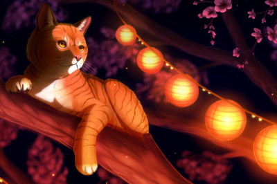 Кот, боящийся темноты