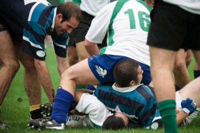 Мешанина забавных фотоснимков 