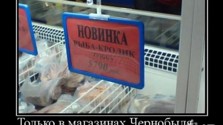 Новинка в магазине