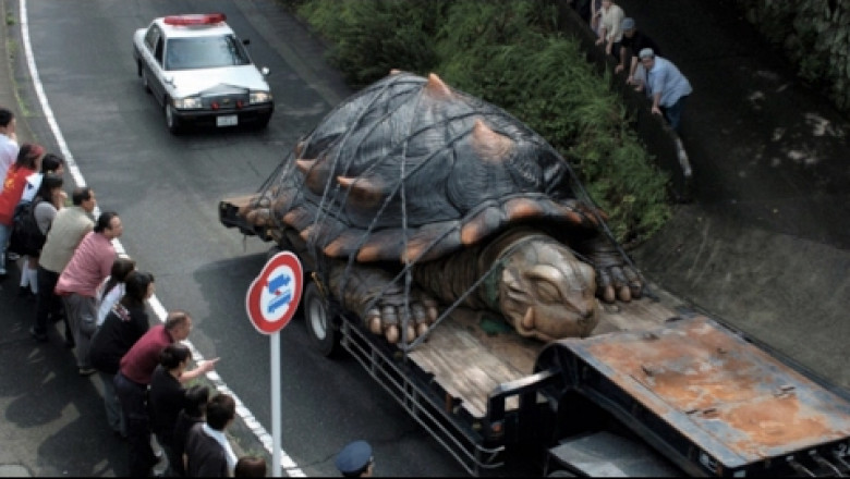 Удивительный мир животных 