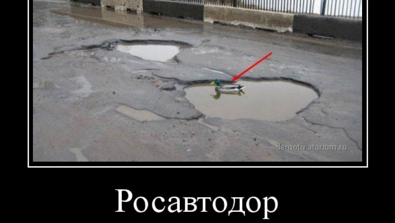 Росавтодор в гармонии с природой