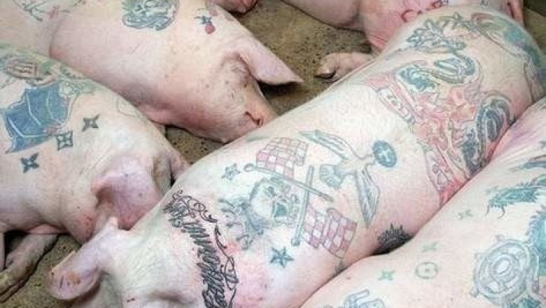 Внук у бабушки учится на татуировщика