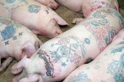 Внук у бабушки учится на татуировщика