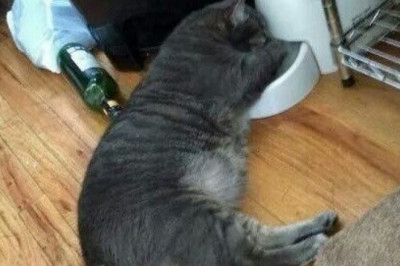 Ем как  нравится 