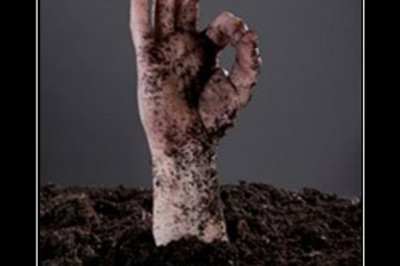 Оптимистом нужно быть всегда!