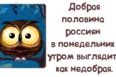 Солянка утренних приколов
