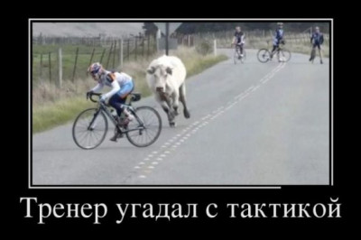 Тренер угадал с тактикой