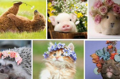 В преддверии настоящей Весны !