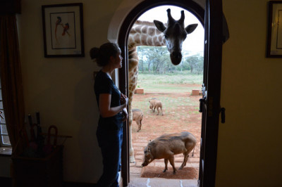 Подборка причудливых фотоснимком 