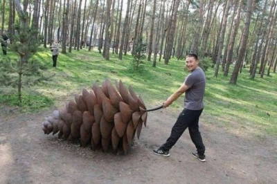 Суровые реалии в Челябинске