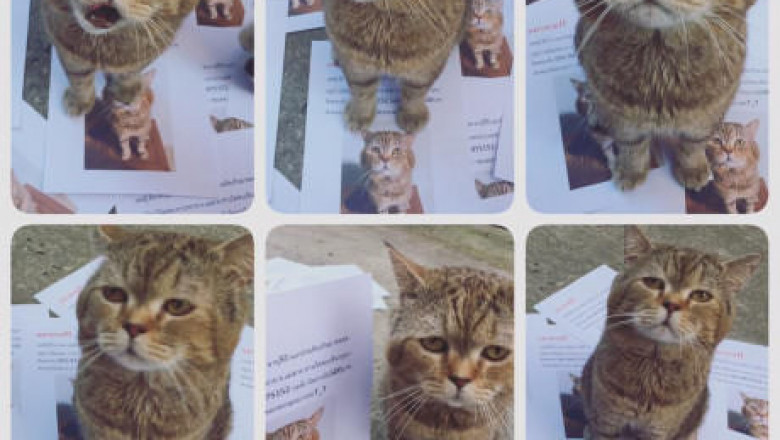 Уже не ждали ...