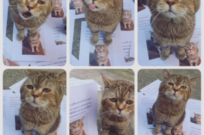 Уже не ждали ...