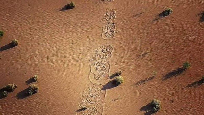 Интересное в фотографиях 