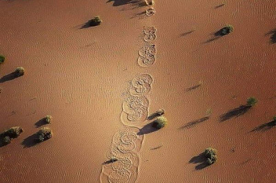 Интересное в фотографиях 