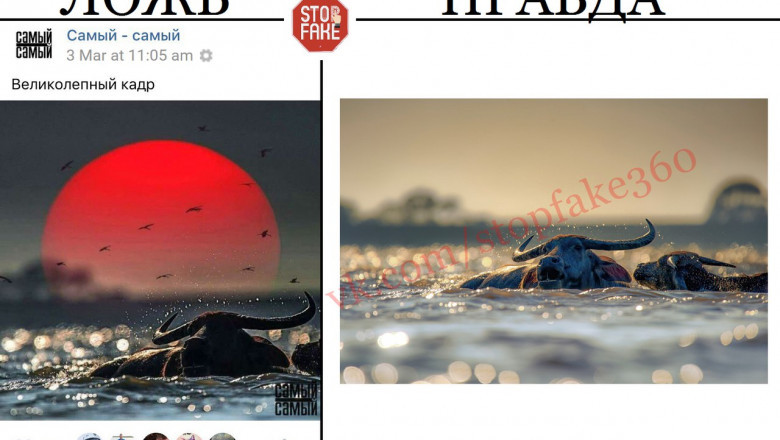 Разоблачаем интернет-фейки 