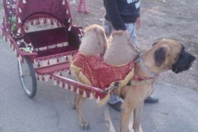 Маркетинговые ходы 