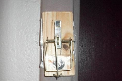 Оригинальный дизайн дверных звонков