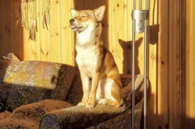 Погружаемся в Весну 