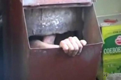 Ненавистный мусоропровод