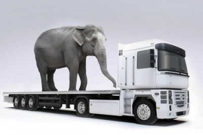 Чрезвычайная изобретательность