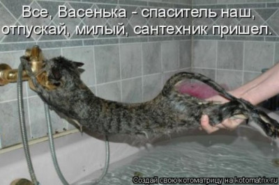 Для любителей котоматриц 