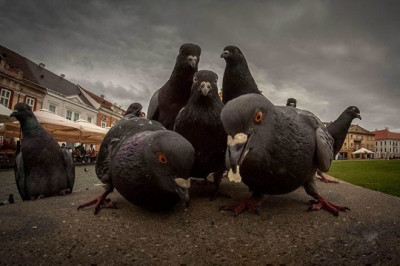 В  музыкальном стиле 
