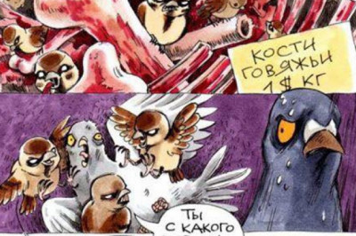 Голубь Геннадий (комикс)