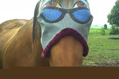 Истина вне достижимого