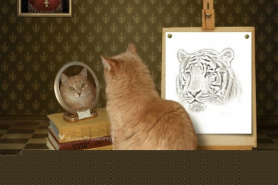 Кот смотрит в зеркало
