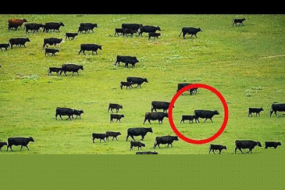 Неразгаданные явления 