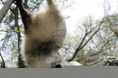 Позитивные фотографии 